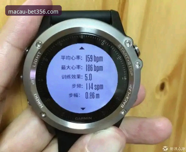 bet356体育平台安全评测最新动态：电脑版v2.1.3版本深度技术解析